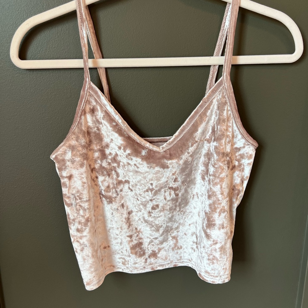 Kimchi Blue Velvet Crop Top